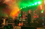 tsf-2019(9).JPEG