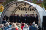 tsf-2019(99).jpg