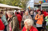tsf-2019(13).JPEG