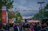 tsf-2019(31).jpg